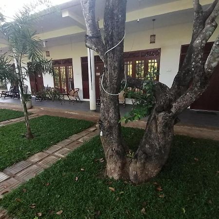 Sigiriya Green Garden Homestay エクステリア 写真