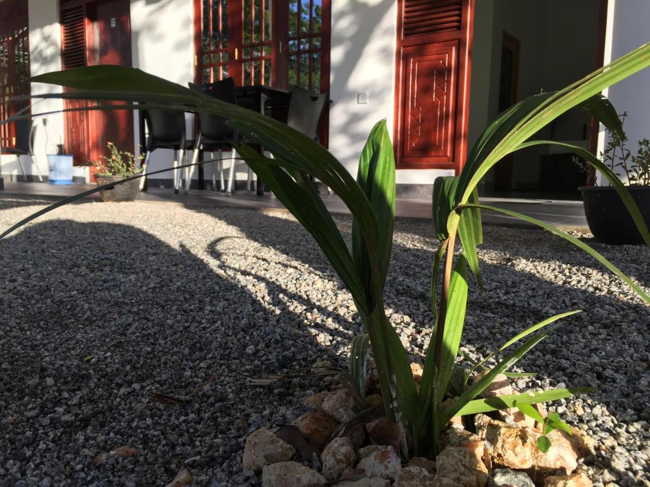 Sigiriya Green Garden Homestay エクステリア 写真