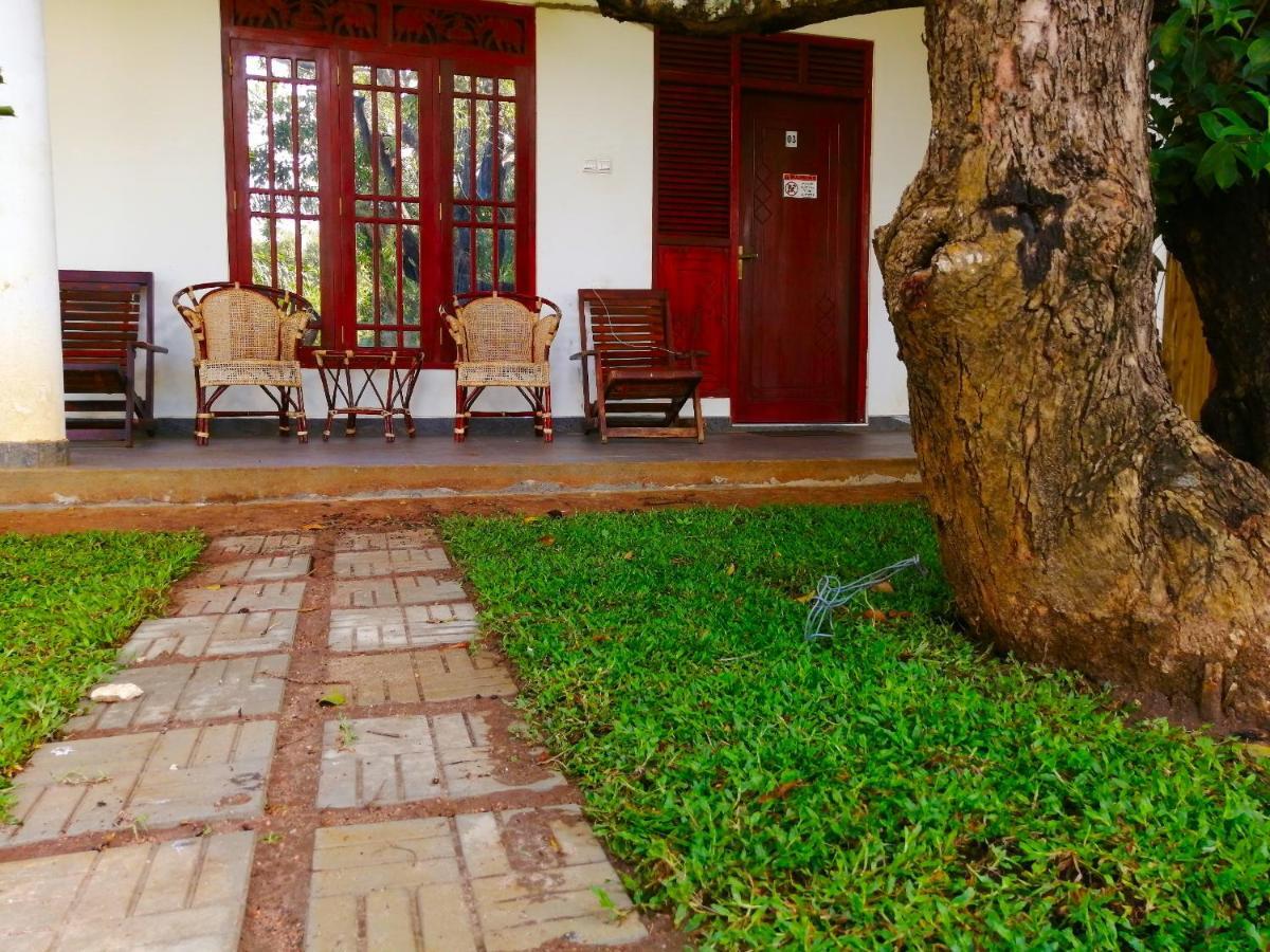 Sigiriya Green Garden Homestay エクステリア 写真