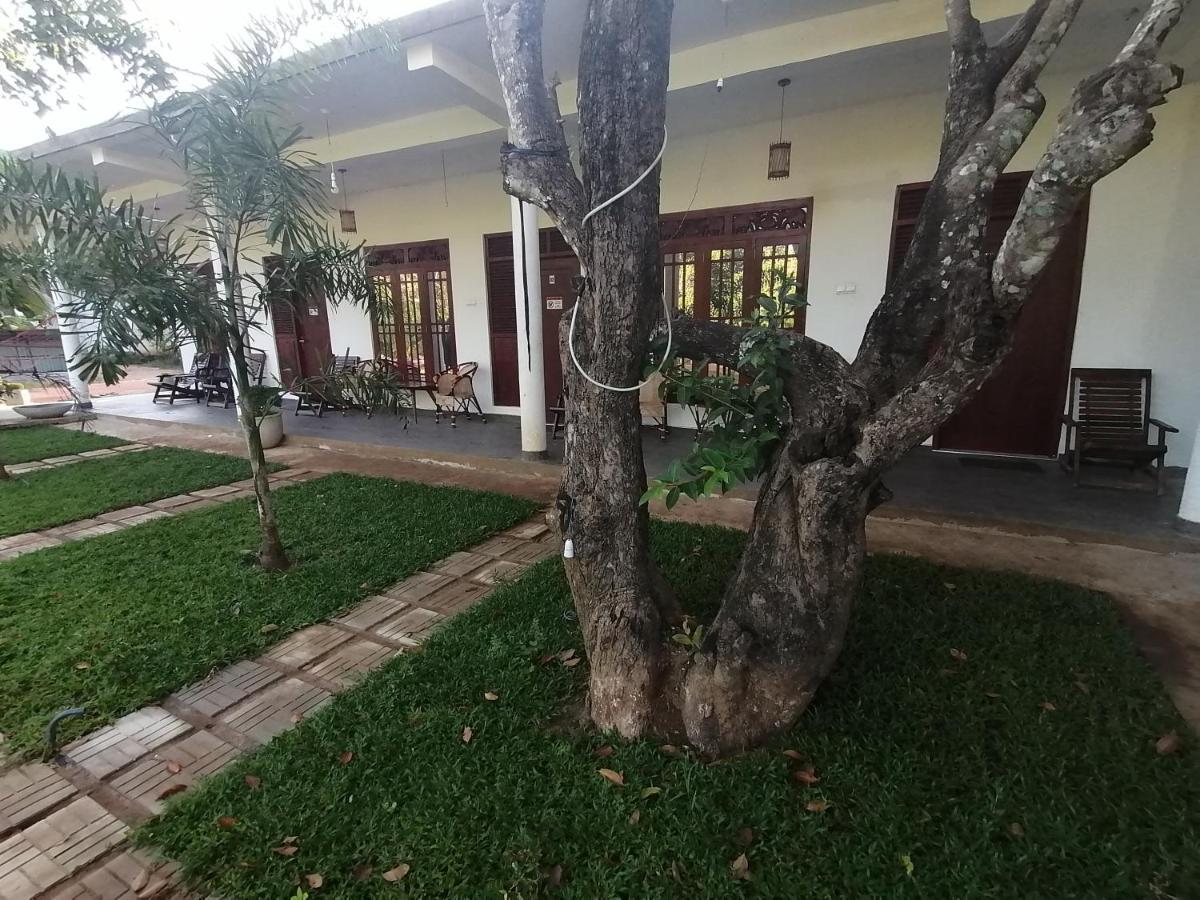 Sigiriya Green Garden Homestay エクステリア 写真